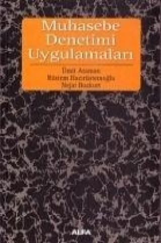 Knjiga Muhasebe Denetimi Uygulamalari Nejat Bozkurt