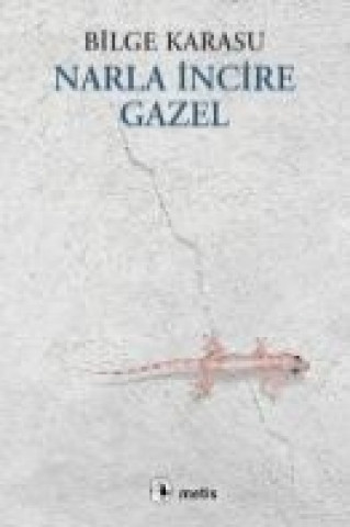 Kniha Narla Incire Gazel Bilge Karasu