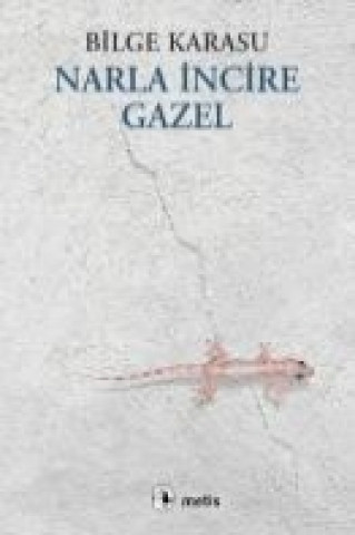 Book Narla Incire Gazel Bilge Karasu