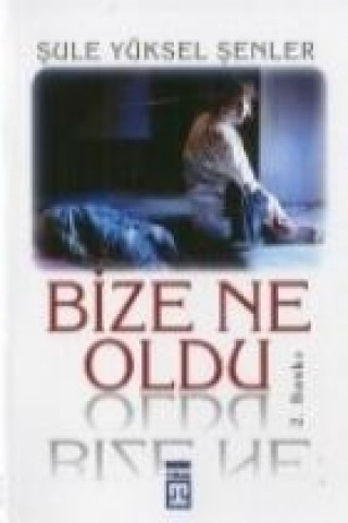 Boek Bize Ne Oldu sule Yüksel senler