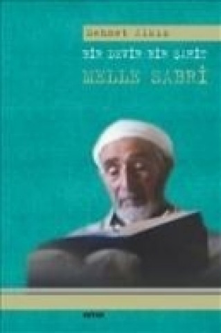 Buch Bir Devir Bir Sahit Mehmet Alkis