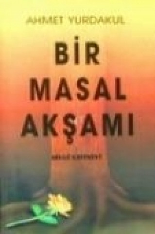 Buch Bir Masal Aksami Ahmet Yurdakul