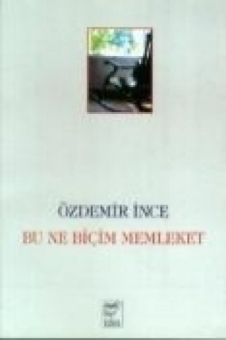 Книга Bu Ne Bicim Memleket Özdemir ince