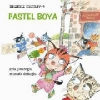 Kniha Mizmiz Mirnav 4; Pastel Boya Ayla cinaroglu