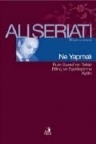 Книга Ne Yapmali Ali seriati