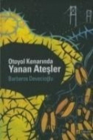 Book Otoyol Kenarinda Yanan Atesler Barbaros Devecioglu