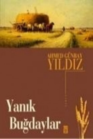 Könyv Yanik Bugdaylar Ahmed Günbay Yildiz