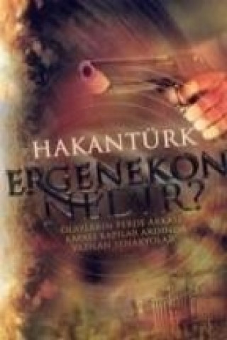 Könyv Ergenekon Nedir Hakan Türk