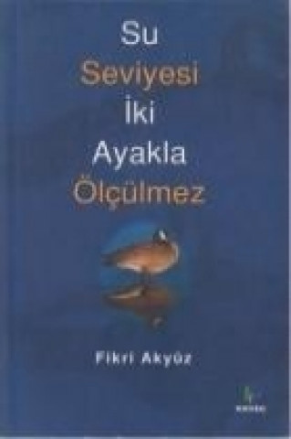 Buch Su Seviyesi Iki Ayakla Ölcülmez Fikri Akyüz