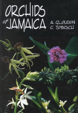 Kniha Orchids of Jamaica A. Cloudon