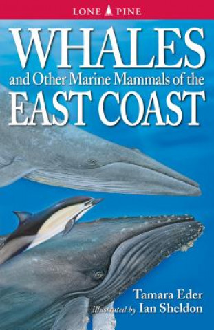 Knjiga Whales and Other Marine Mammals of the East Coast Tamara Eder