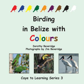 Könyv Birding in Belize with Colours Dorothy Beveridge