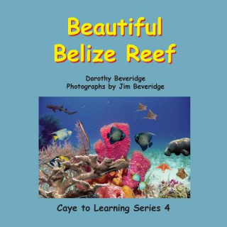 Kniha Beautiful Belize Reef Dorothy Beveridge