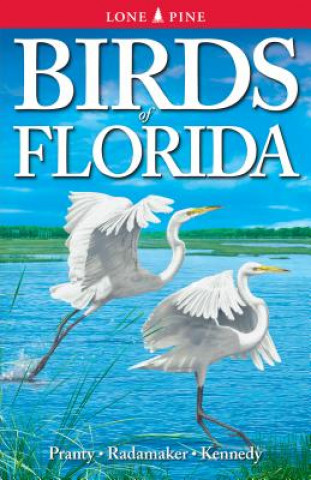 Kniha Birds of Florida Bill Pranty