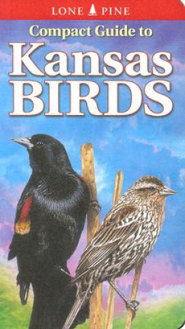Kniha Compact Guide to Kansas Birds Ted T. Cable
