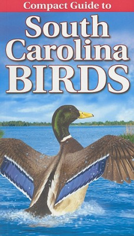 Kniha Compact Guide to South Carolina Birds Curtis Smalling