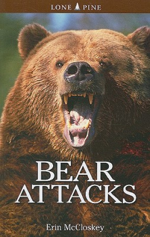 Kniha Bear Attacks Erin McCloskey
