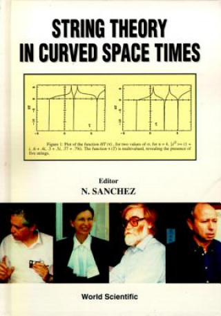 Knjiga String Theory in Curved Space Times, a Collaborative Research Report N. Sanchez