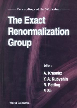 Knjiga The Exact Renormalization Group A. Krasnitz
