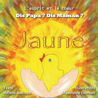 Boek Jaune Helene Averous