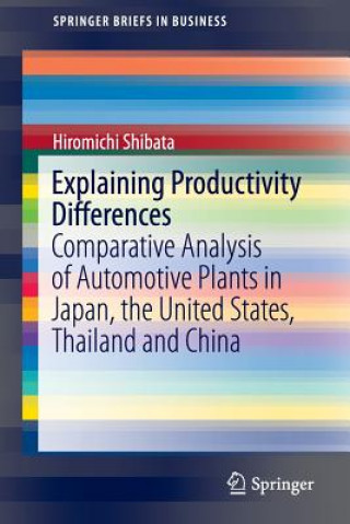 Könyv Explaining Productivity Differences Hiromichi Shibata