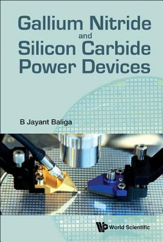Kniha Gallium Nitride And Silicon Carbide Power Devices B. Jayant Baliga