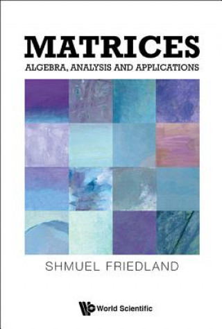 Knjiga Matrices: Algebra, Analysis And Applications Shmuel Friedland