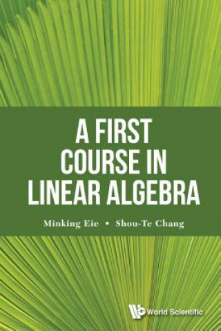 Kniha First Course In Linear Algebra, A Minking Eie