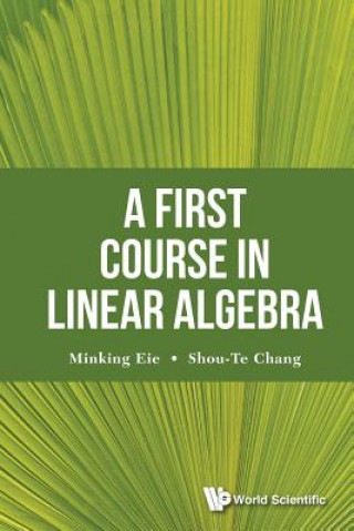 Kniha First Course In Linear Algebra, A Minking Eie