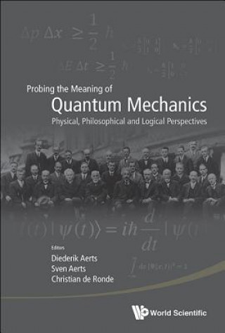 Könyv Probing The Meaning Of Quantum Mechanics: Physical, Philosophical, And Logical Perspectives CHRISTIAN DE RONDE