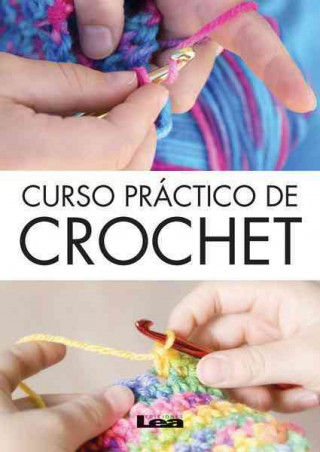 Kniha Curso Practico de Crochet Rosales Gabriela Del Pilar