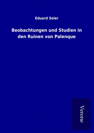 Carte Beobachtungen und Studien in den Ruinen von Palenque Eduard Seler