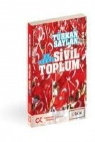 Kniha 100 Soruda Sivil Toplum Türkan Saylan