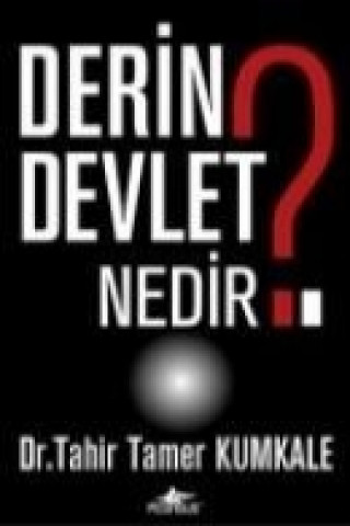 Knjiga Derin Devlet Nedir Tahir Tamer Kumkale