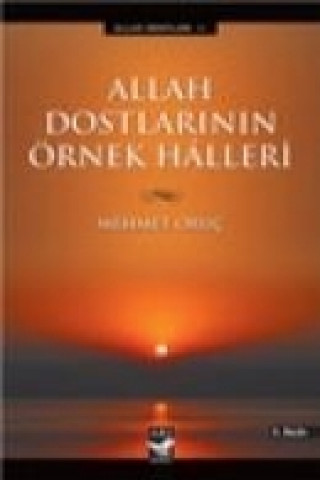 Libro Allah Dostlarinin Örnek Halleri Mehmet Oruc