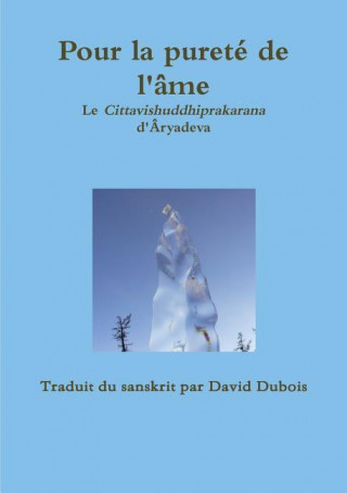 Książka Pour La Purete de L'Ame Cittavishiddhiprakarana David DuBois (Traducteur)