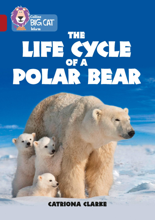 Buch Life Cycle of a Polar Bear Catriona Clarke