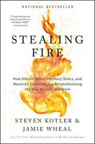Książka Stealing Fire Steven Kotler