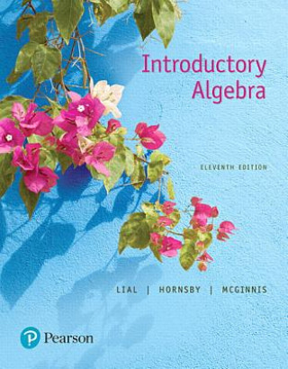 Knjiga Introductory Algebra Marge Lial
