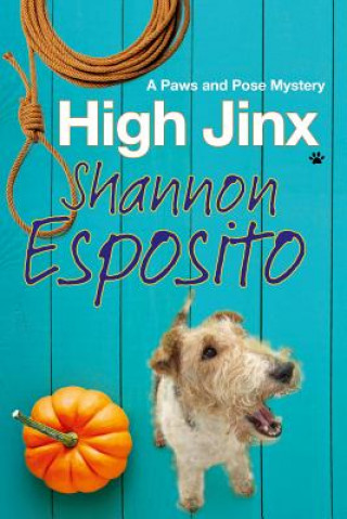 Kniha High Jinx SHANNON ESPOSITO