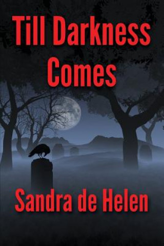 Kniha Till Darkness Comes Sandra De Helen