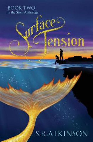 Buch Surface Tension S R Atkinson