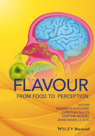 Könyv Flavour - From Food to Perception Elisabeth Guichard