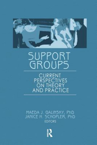 Kniha Support Groups SCHOPLER