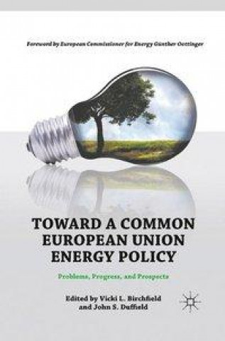 Kniha Toward a Common European Union Energy Policy 