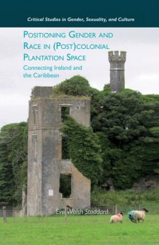 Buch Positioning Gender and Race in (Post)colonial Plantation Space E. Stoddard