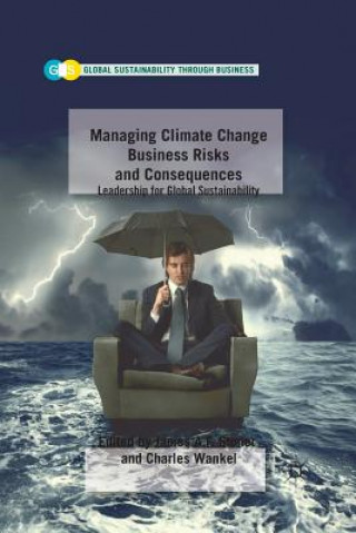 Книга Managing Climate Change Business Risks and Consequences J. Stoner