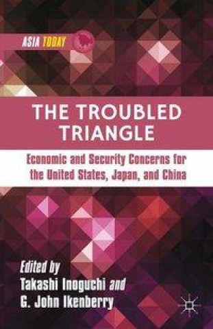 Knjiga Troubled Triangle G. Ikenberry