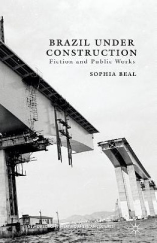 Kniha Brazil under Construction S. Beal
