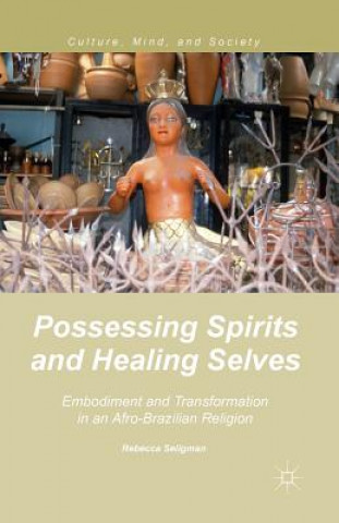 Книга Possessing Spirits and Healing Selves R. Seligman